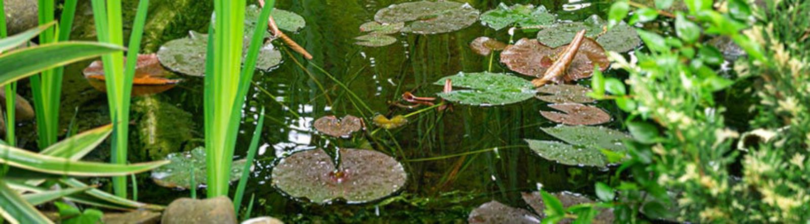 Comment poser un bassin préformé dans son jardin ?